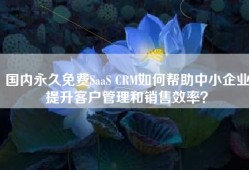 国内永久免费SaaS CRM如何帮助中小企业提升客户管理和销售效率？