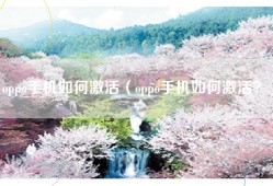 oppo手机如何激活（oppo手机如何激活？）