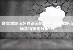 蜜雪冰城市场营销策略分析-蜜雪冰城市场营销策略分析PPT