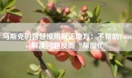 马斯克的智慧没用到正地方：不帮助Twitter解决问题反而“帮倒忙”
