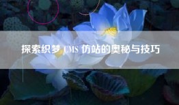 探索织梦 CMS 仿站的奥秘与技巧