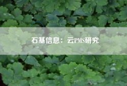 石基信息：云PMS研究