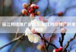 丽江网络推广是什么,丽江网络推广的重要性