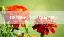 【致同提示】2025年2月技术快讯