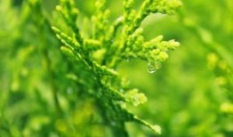 上海肿瘤医院黄牛办理住院床位电话（上海跑腿代办服务）全天候为您开启绿灯