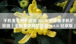 手机麦克风扩音器 26.0.38 安卓版手机扩音器「手机麦克风扩音器 26.0.38 安卓版」