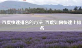 百度快速排名的方法_百度如何快速上排名