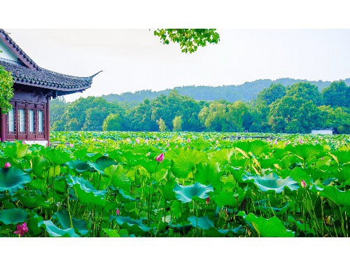 北京到青海湖+响沙湾7日游报价_去响沙湾,塔尔寺.青海旅游团