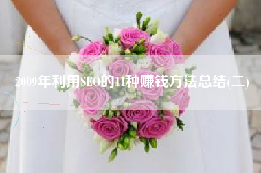 2009年利用SEO的11种赚钱方法总结(二)