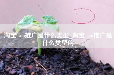 淘宝 seo推广是什么类型_淘宝 seo推广是什么类型的