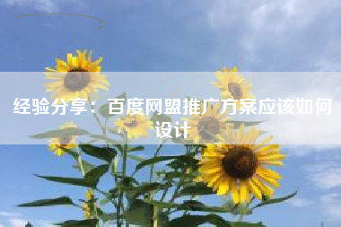 经验分享：百度网盟推广方案应该如何设计