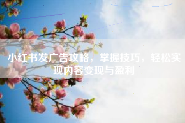 小红书发广告攻略，掌握技巧，轻松实现内容变现与盈利