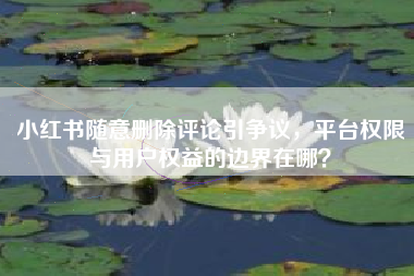 小红书随意删除评论引争议，平台权限与用户权益的边界在哪？