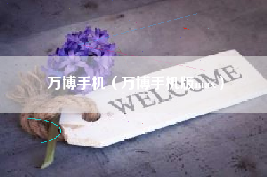 万博手机（万博手机版max）