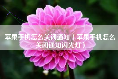 苹果手机怎么关闭通知（苹果手机怎么关闭通知闪光灯）