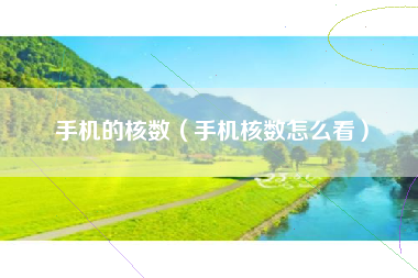 手机的核数（手机核数怎么看）