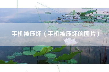 手机被压坏（手机被压坏的图片）